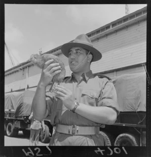 Maori soldier with a stuffed kiwi mascot for the Malayan Emergency force