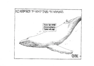 NZ Airforce to keep tabs on whalers. "They're more endangered than we are." 3 December 2008.