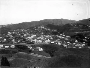 Houses and streets, Northland, Wellington