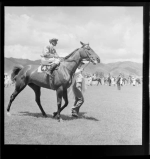 Unidentified horse and jockey, Trentham racecourse, Upper Hutt