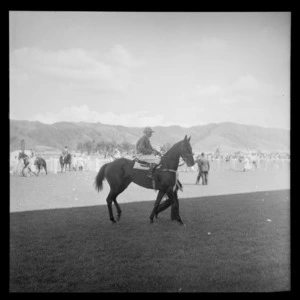 Race horse and jockey, [Wellington?]