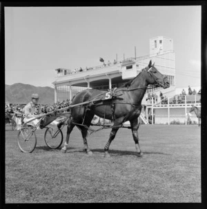 Unidentified trotter (horse) pulling a jockey in a sulky, Hutt Park Raceway, Gracefield, Lower Hutt