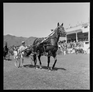 Unidentified trotter (horse) pulling a jockey in a sulky, Hutt Park Raceway, Gracefield, Lower Hutt