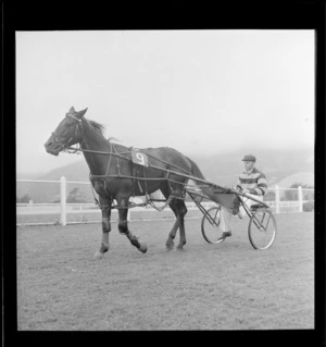 Unidentified horse and driver, second day, trotting, Hutt Park Raceway, Lower Hutt