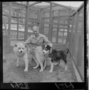 Zoo keeper Tony Sinclair, with two huskies at the Wellington Zoo