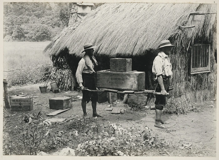 Two men carrying boxes on a stretcher, Raoul Island