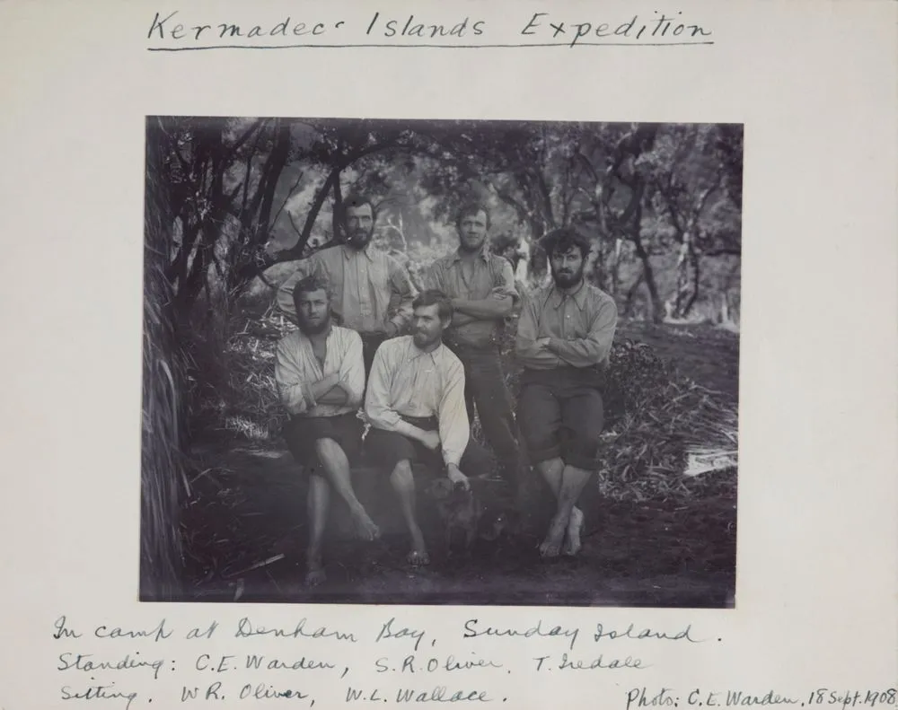 'Kermadec Islands Expedition - In camp at Denham Bay, Sunday Island.'