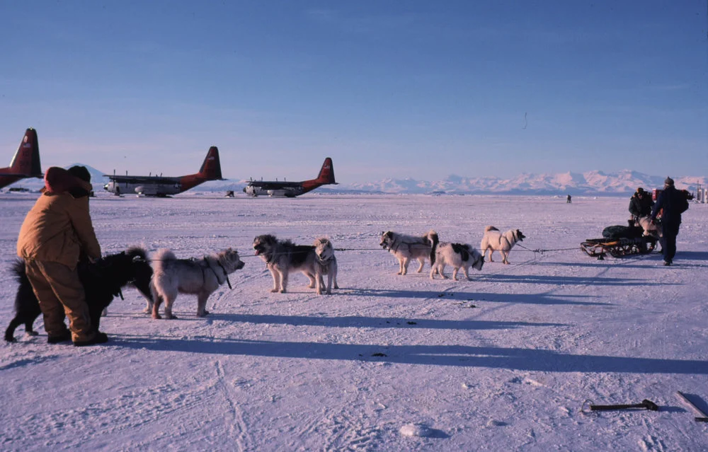 Kiwi Dog Team at Sea Ice Runway