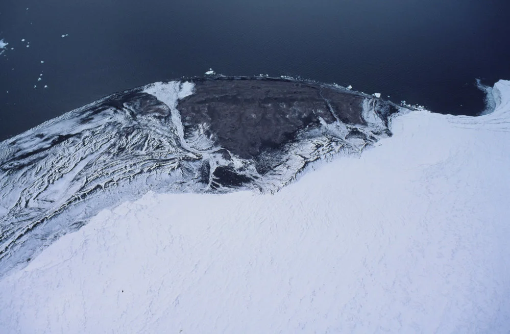 Cape Bird, Northern penguin rookery