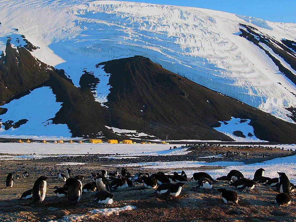 Cape Hallett camp from the Adelie penguin rookery