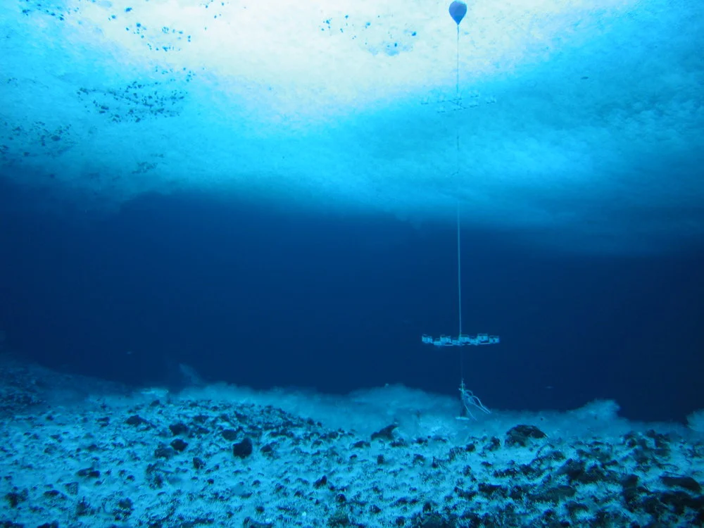 Experimental racks used to examine long-term effects of UV-R on antarctic invertebrate larvae