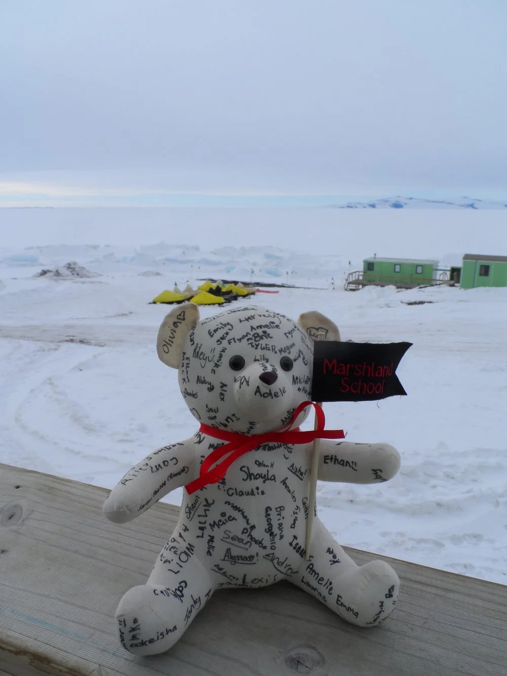 Teddy goes to Antarctica