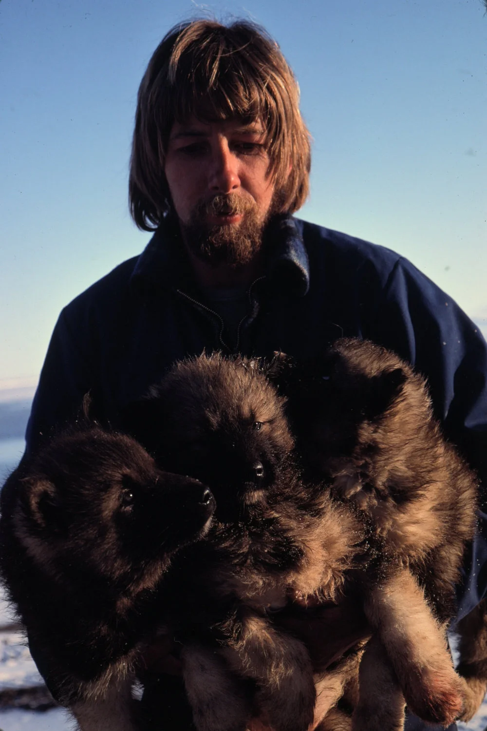 Bill Eaton with and Armfull of Husky Pups