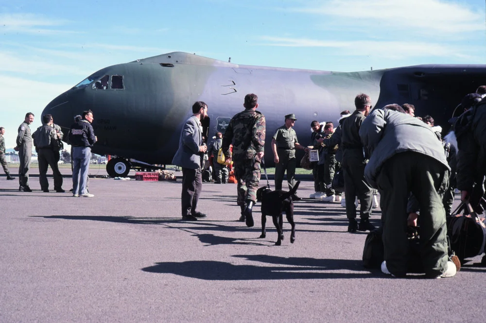 Dogs searching Luggage for Drugs before Boarding