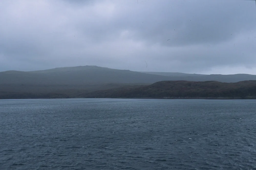 Auckland Island