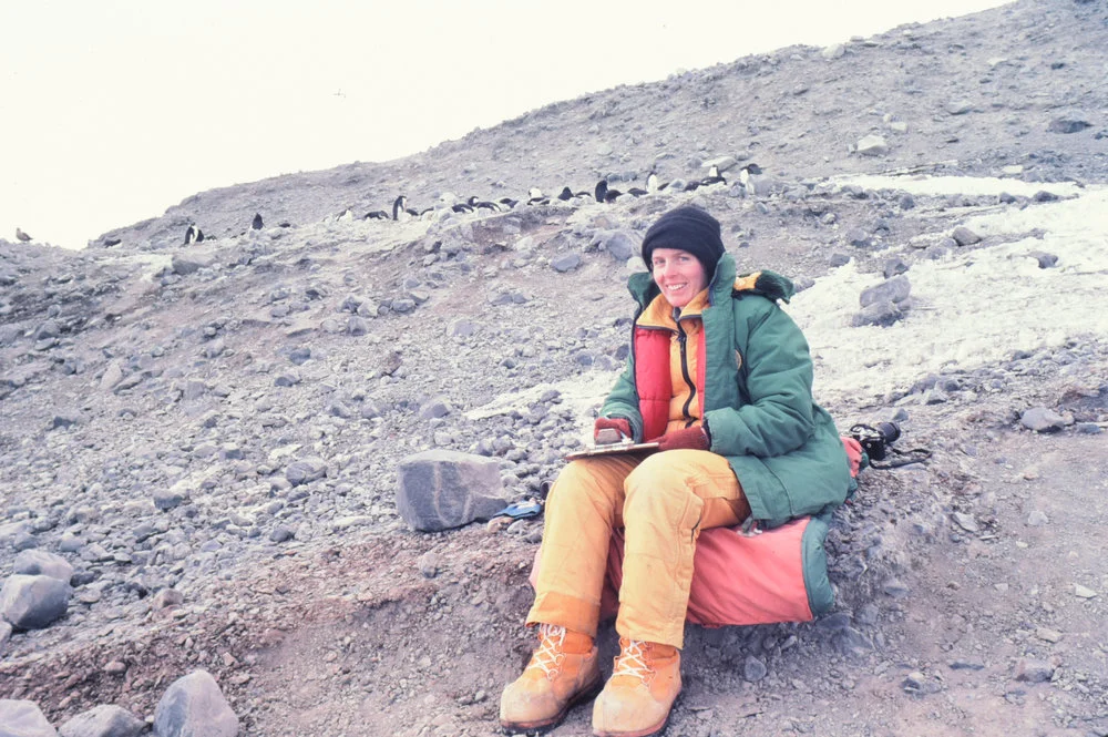 Watching Adelie Penguins