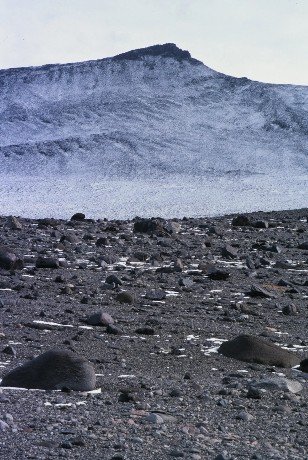 Mount Insel from McKelvey Valley