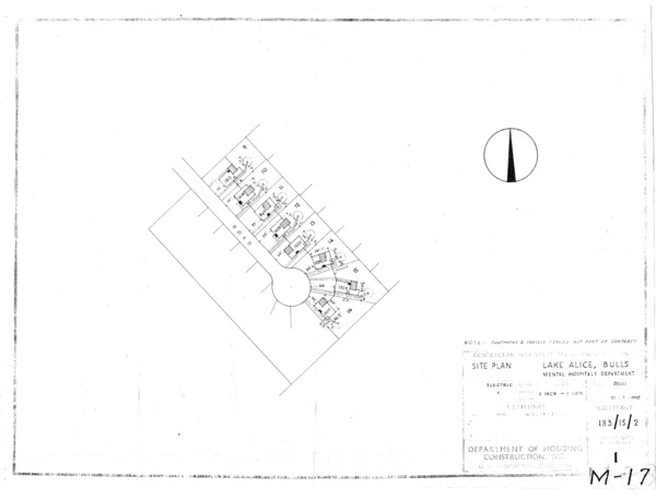 Miscellaneous: Lake Alice, Bulls Mental Hospitals Department - Site Plan