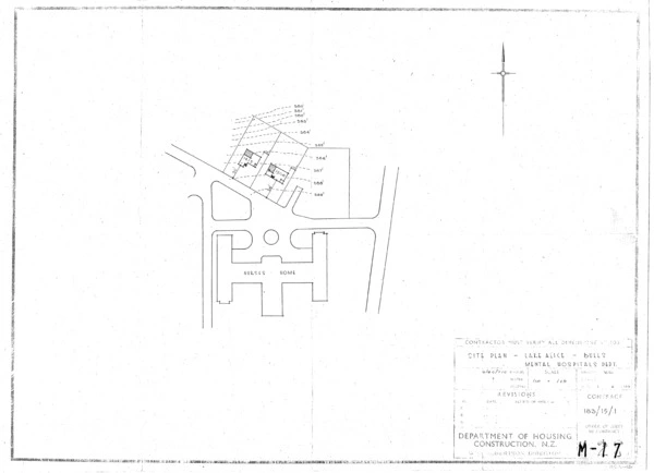 Miscellaneous: Lake Alice, Bulls Mental Hospitals Department - Site Plan