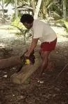 Canoe building: New tools used in old craft
