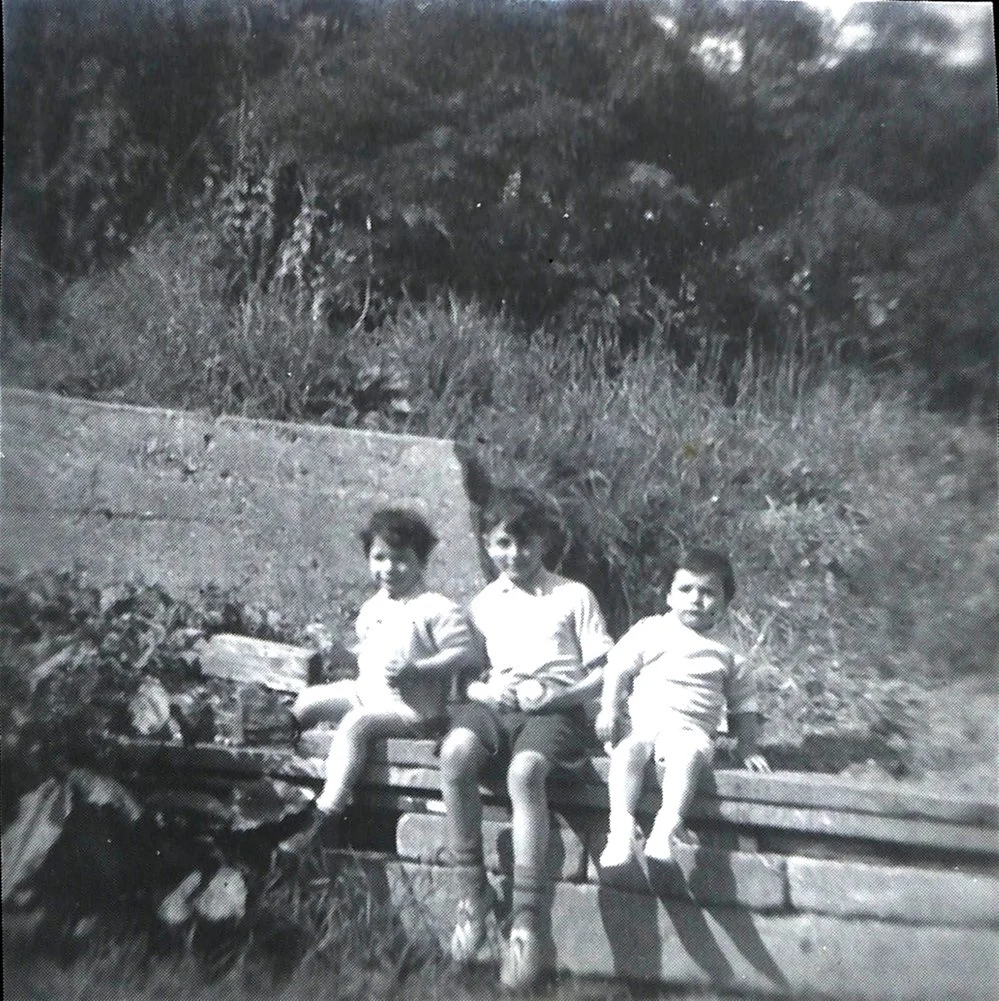 Three Lebanese Boys