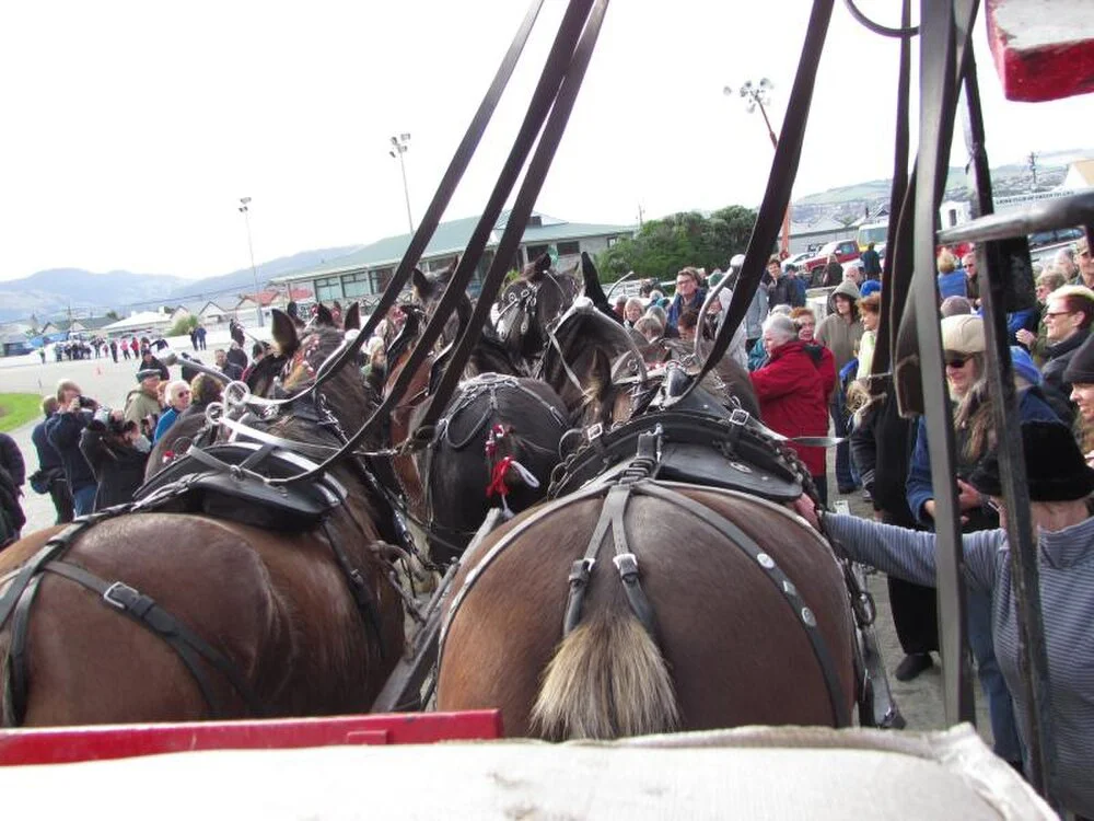 Clydesdale Horse Society of New Zealand