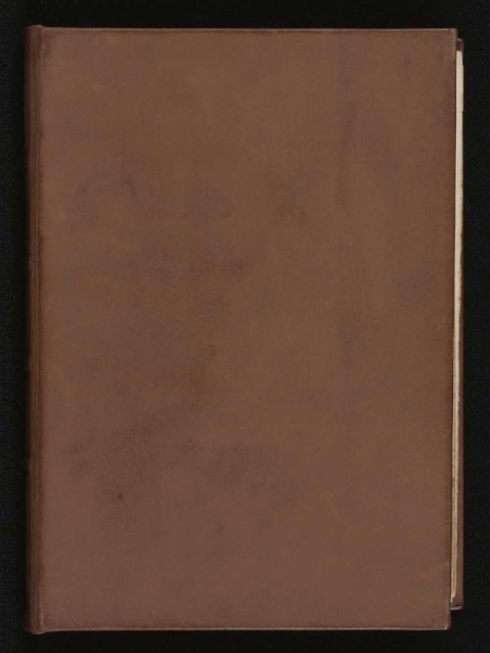 DPL Reed MS5: A composite Book of Hours, in Latin