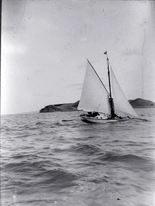 A small cutter (yacht) sailing across Wellington Harbour