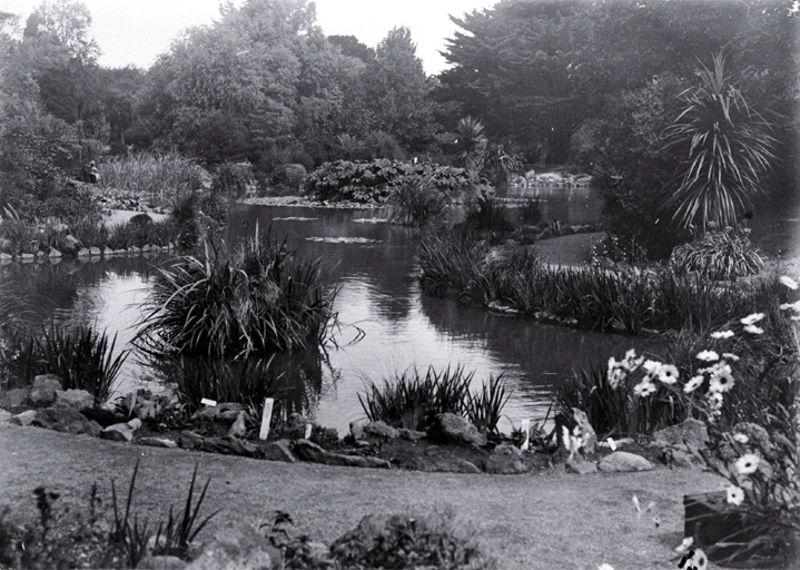 Lily pond in the Christchurch Botanic Gardens