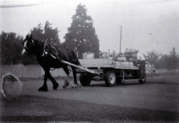 Wartime milk delivery, corner Alpha Avenue and Normans Road, Bryndwr, Christchurch