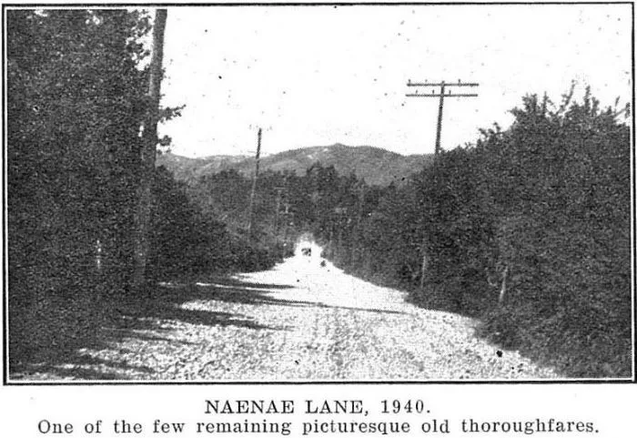 Naenae Lane, 1940.