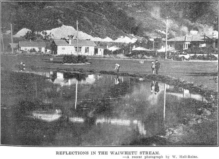 Reflections in the Waiwhetu Stream.