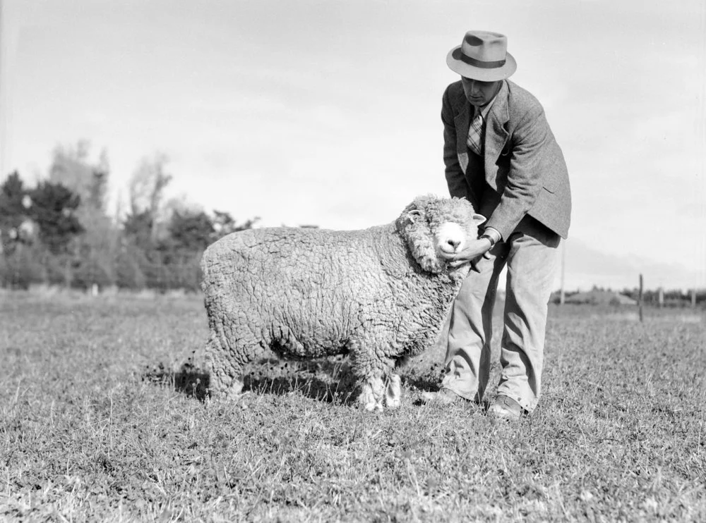 Canterbury Agricultural College farm