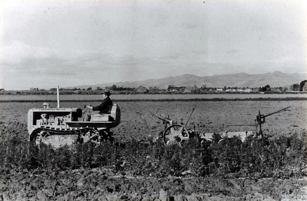 Tractor ploughing field