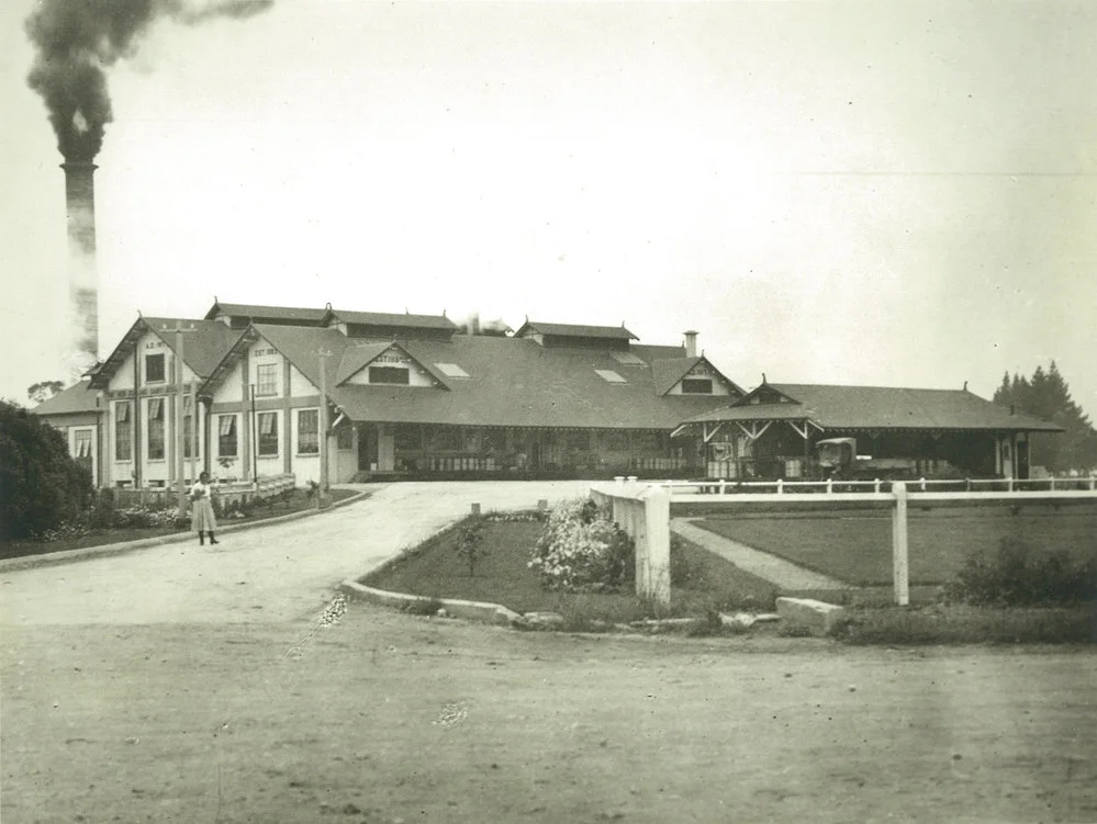 Joseph Nathan & Sons [Glaxo]. Matangi dairy factory, 1919