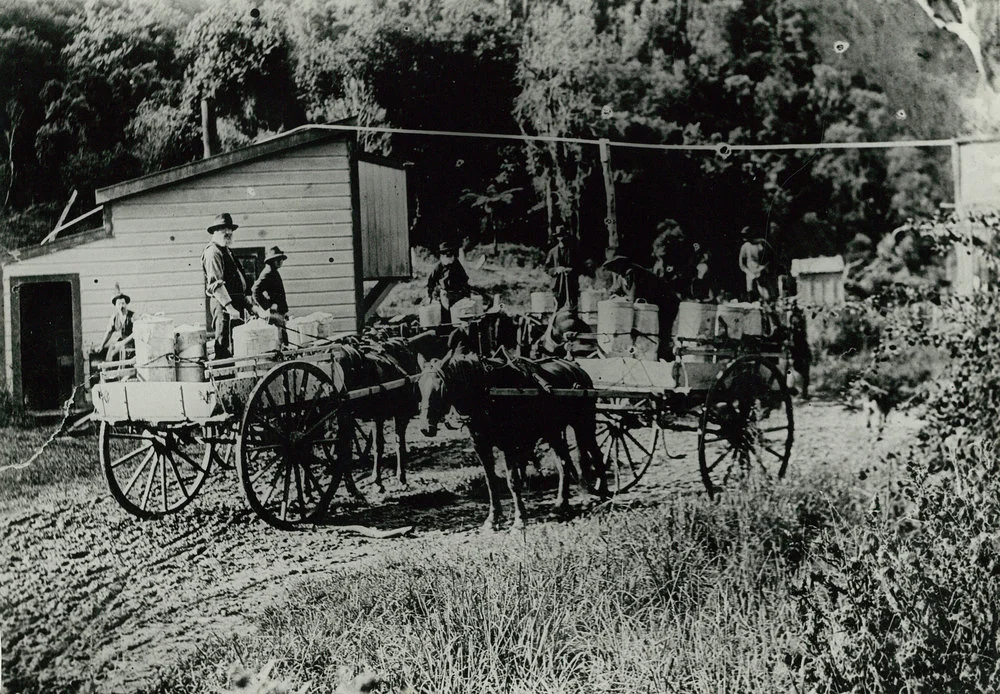 Taihape Co-operative Dairy Company, Limited. Mangaweka Creamery, circa 1906