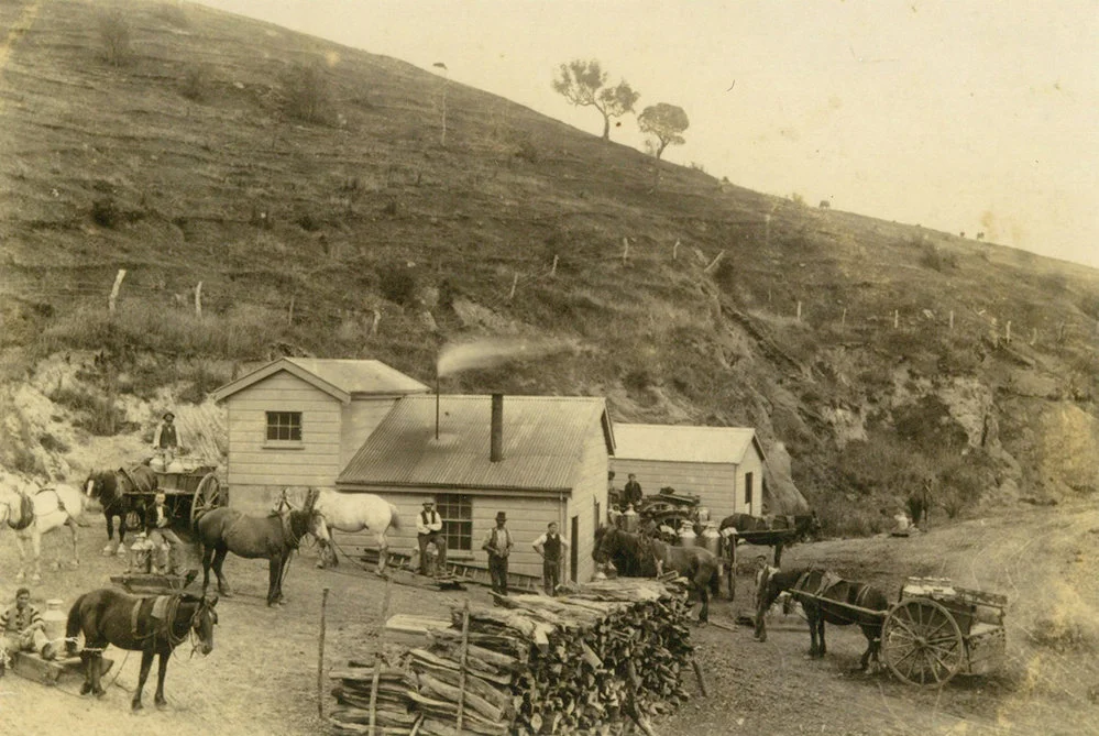 Taieri and Peninsula Milk Supply Company. Otakau Skimming Factory, circa 1896 to 1905