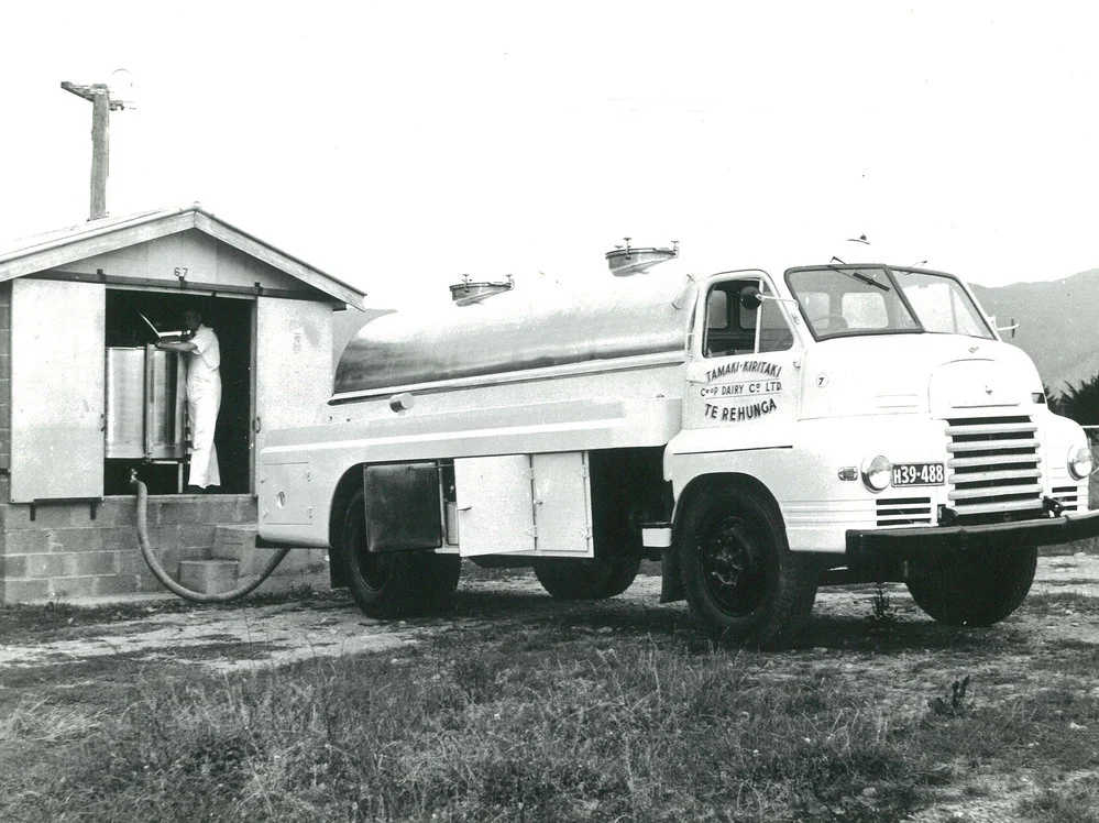 Tamaki-Kiritaki Co-operative Dairy Company, Limited. Milk truck, circa 1959