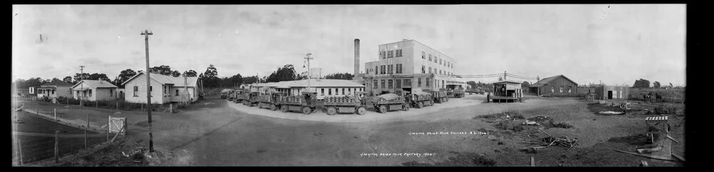 New Zealand Co-operative Dairy Company, Limited. Waitoa Dried Milk Factory, 1924