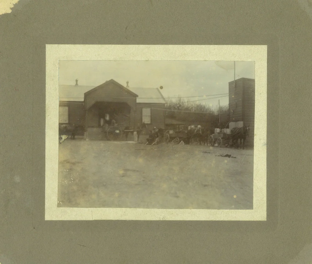 Norsewood Co-operative Dairy Company, Limited. Cheese factory, circa 1910