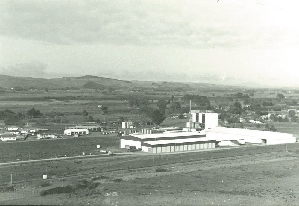 Tui Co-operative Dairy Company, Limited. Mangamutu complex, August 1988
