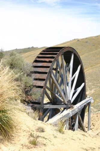 Young Australian Water Wheel