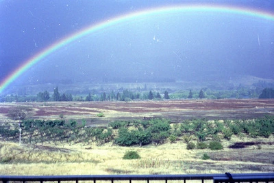 Rainbow3