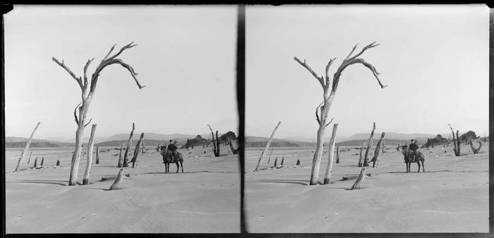 Unidentified man on horse on beach with dead trees, Catlins area, Clutha District, Otago Region