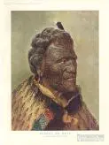 Tomika te mutu, a noted east coast chief [picture] /