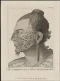 Head of Otegoongoon, son of a New Zealand chief, the face curiously tataou'd [i.e. tattooed] [picture] /