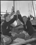 [Two New Zealand yachtsmen, Olympic Games, Melbourne, 1956] [picture].