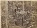 Album of New Zealand and Australian photographs [picture].