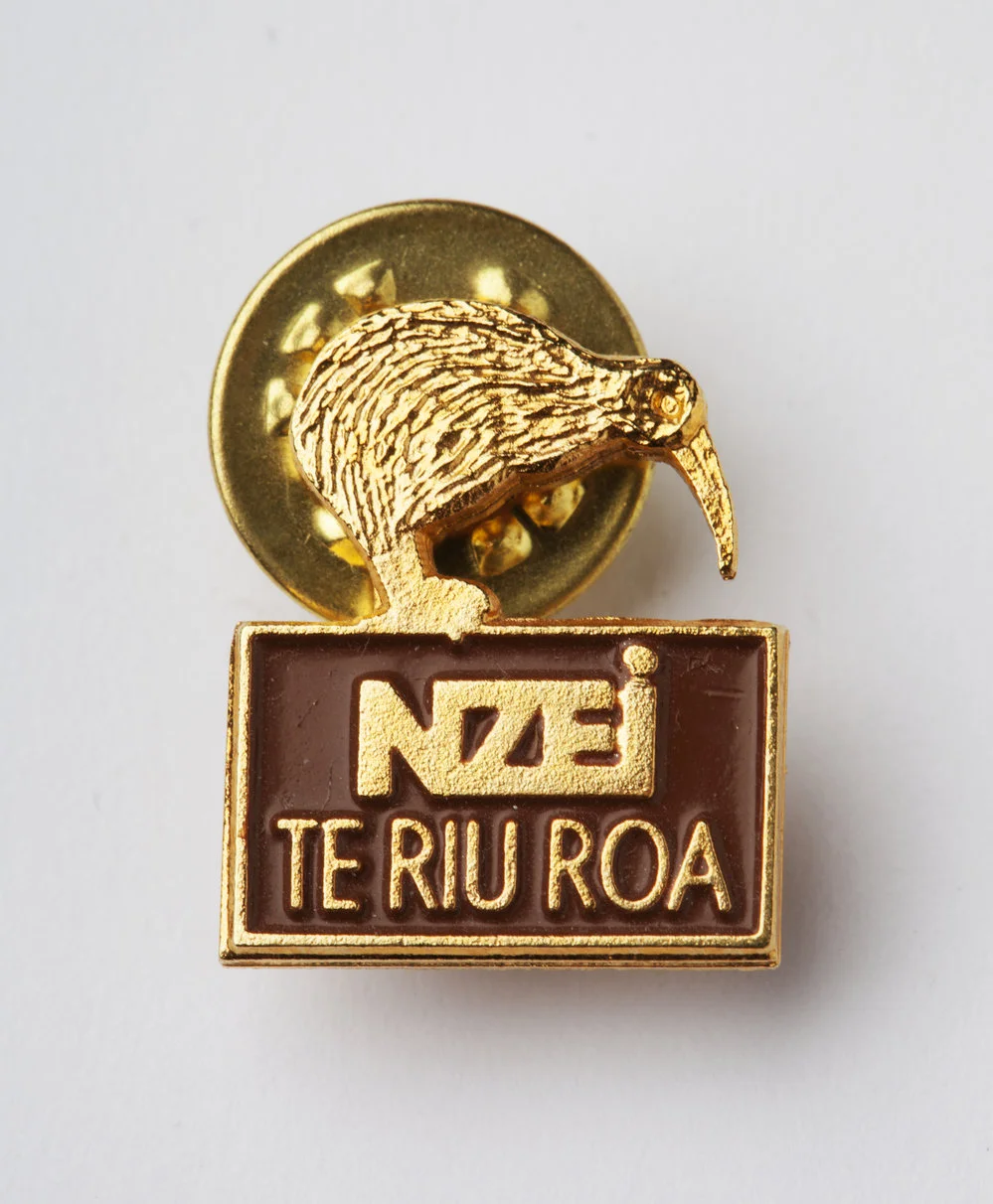 Pin, NZEI Kiwi