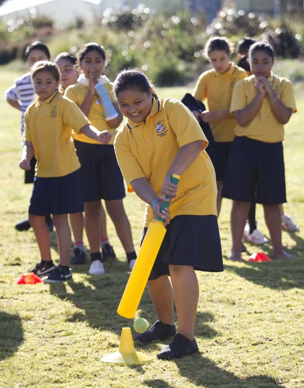 Playing cricket